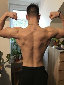Jejo z panami