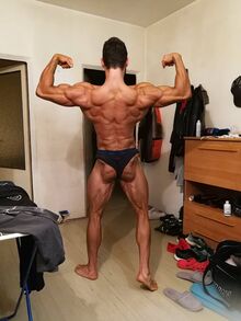 Daniel Pokorný