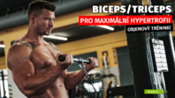 Tréning rúk pre maximálnu hypertrofiu | Biceps a triceps