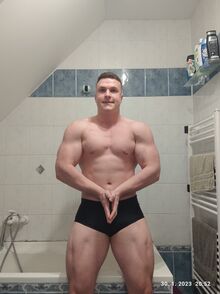 Radoslav Budiš