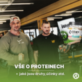 Všetko o bielkovinách: Aké sú ich druhy, účinky a pre koho sú vhodné?
