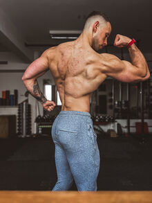 David Draganovsky