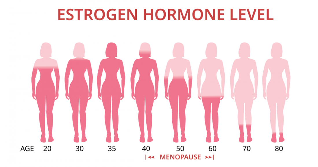 Estrogen u žen
