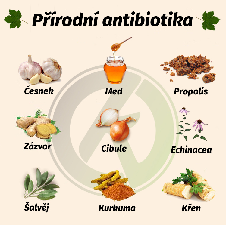 Jaké jsou přírodní antibiotika?