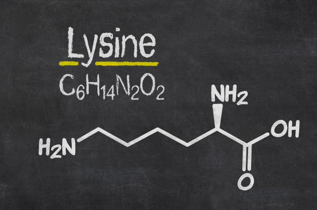 L-lysin