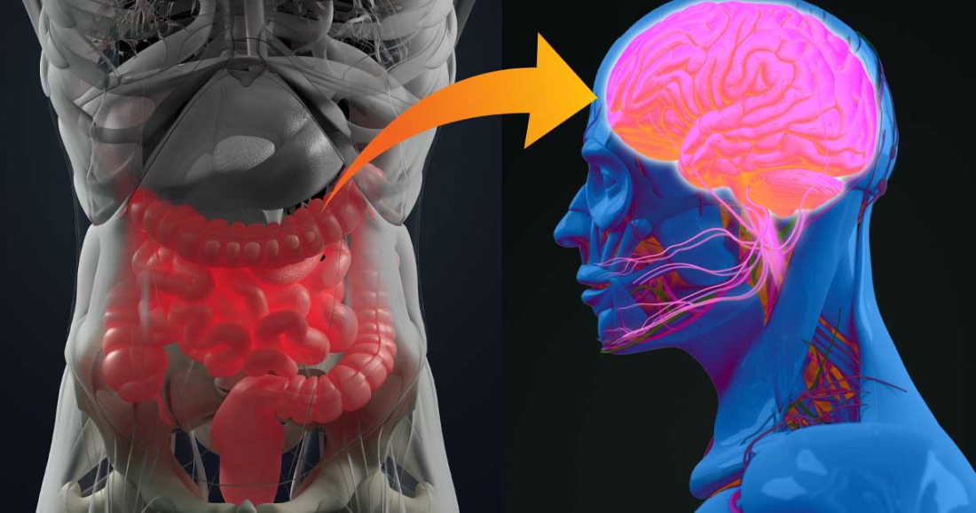 gut-brain-connection
