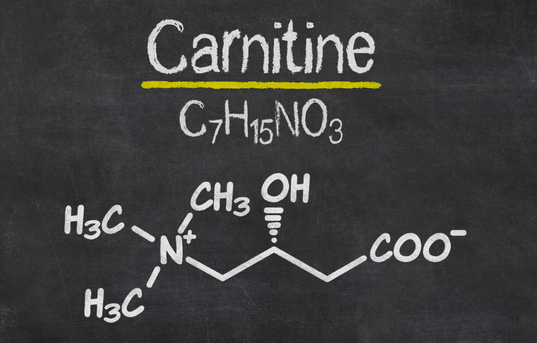 Molekula L-carnitinu