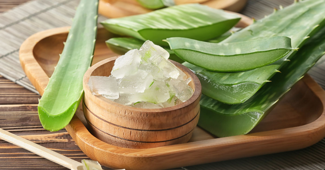 Aloe Vera
