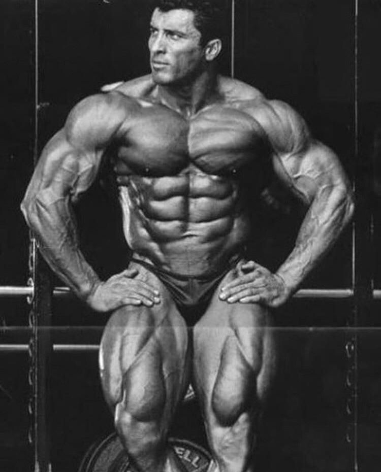 Miloš Sarcev