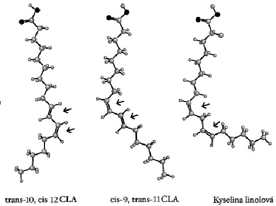 CLA CLA