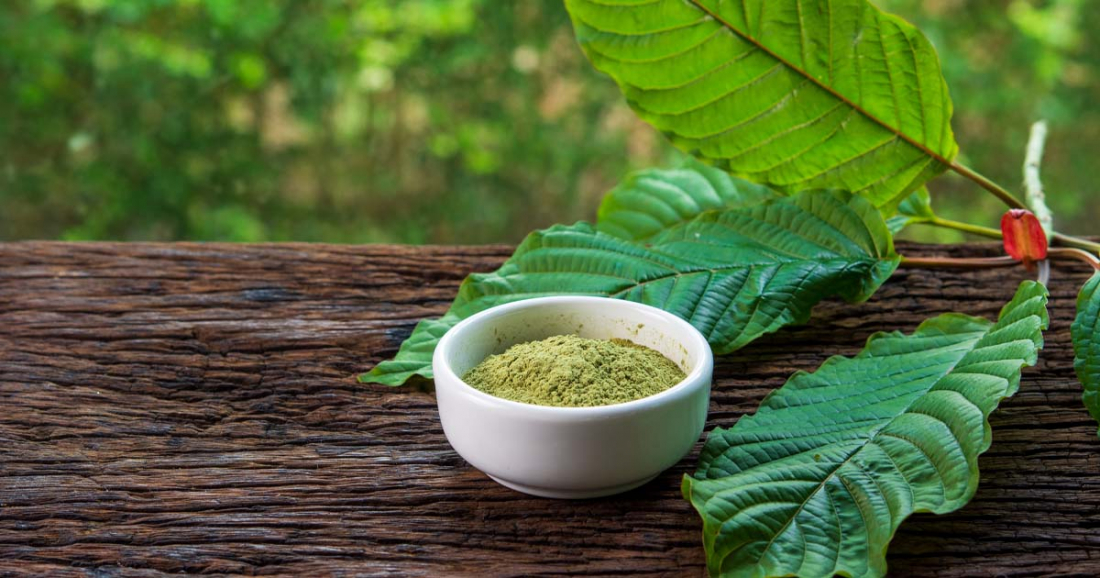 kratom v prášku