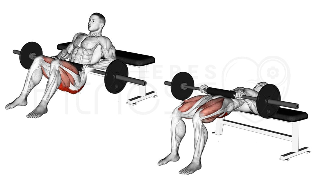 Provedení Hip thrustu