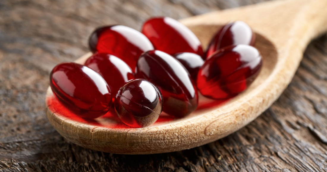 krill oil