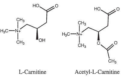 molekula L-karnitinu